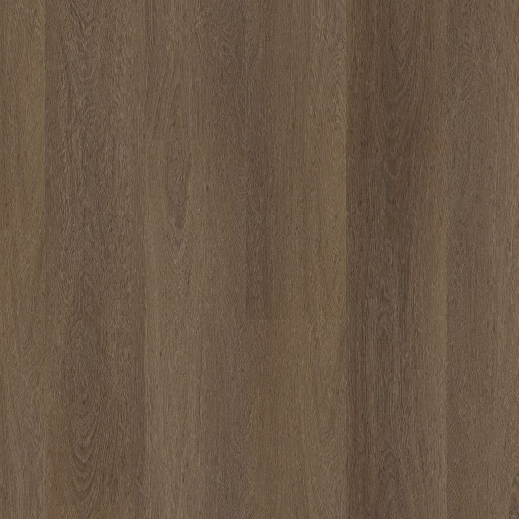 Fulham dryback bruin