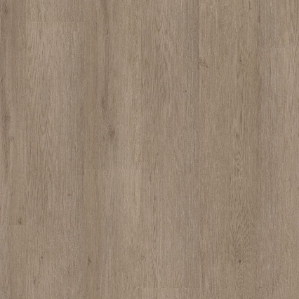 Barnet dryback rokerig