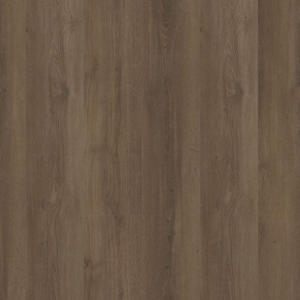 Greenwich click SRC warm bruin