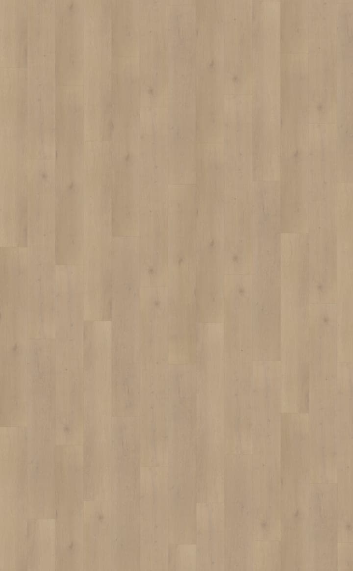 Palazzo 770 | Rigid Click