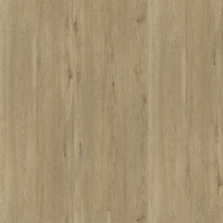 Rustico 50